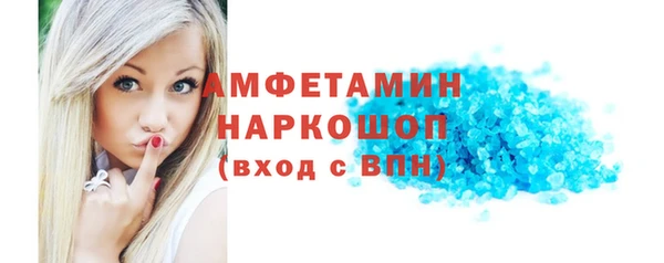 твердый Ельня