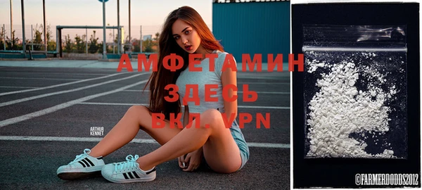 твердый Ельня