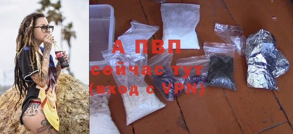 СК Елизово