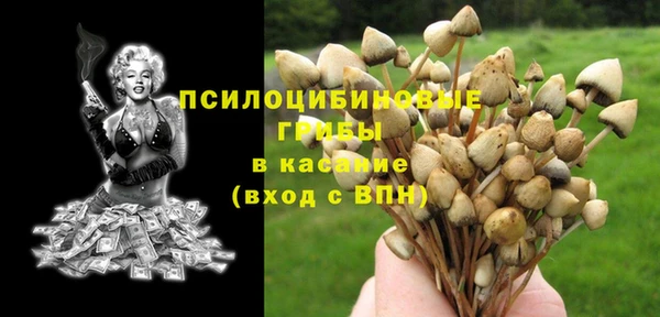 бошки Хадыженск