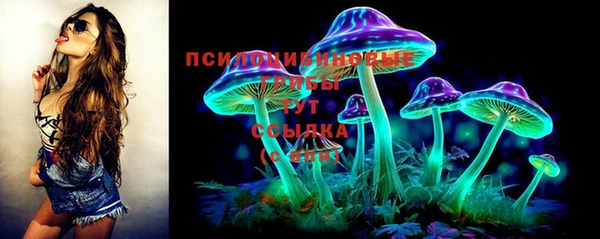 твердый Ельня